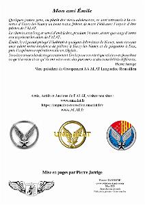 428 PILOTE AU PMAH-12eme-DI (2)